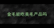 金毛能吃美毛产品吗
