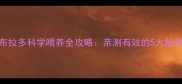 新手必看拉布拉多科学喂养全攻略亲测有效的5大秘诀养出健康皮毛