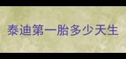 泰迪第一胎多少天生