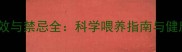 狗狗大蒜功效与禁忌全科学喂养指南与健康隐患防范