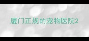 厦门正规的宠物医院