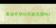 泰迪怀孕50天能洗澡吗