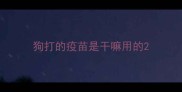 狗打的疫苗是干嘛用的