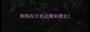 狗狗在沙发边蹭来蹭去