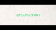 边牧蓝眼会失明吗