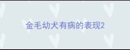 金毛幼犬有病的表现