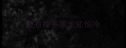 拉布拉多黑龙江怕冷