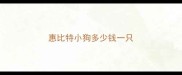 惠比特小狗多少钱一只