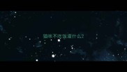 猫咪不吃饭灌什么