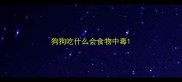狗狗吃什么会食物中毒