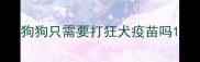 狗狗只需要打狂犬疫苗吗