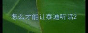 怎么才能让泰迪听话