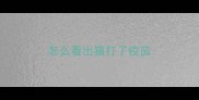 怎么看出猫打了疫苗