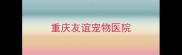 重庆友谊宠物医院