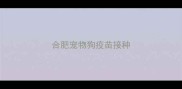 合肥宠物狗疫苗接种