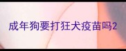成年狗要打狂犬疫苗吗