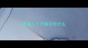 泰迪几个月换牙吃什么