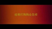 经常打狗狗会怎样