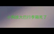 小狗放大巴行李箱死了