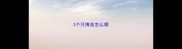 3个月博美怎么喂