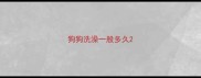 狗狗洗澡一般多久