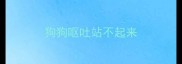 狗狗呕吐站不起来