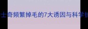 幼犬期哈士奇频繁掉毛的7大诱因与科学护理指南