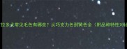 拉布拉多犬常见毛色有哪些从巧克力色到黄色全附品种特性对比