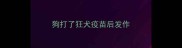 狗打了狂犬疫苗后发作