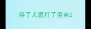 得了犬瘟打了疫苗