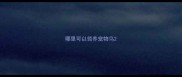 哪里可以领养宠物鸟