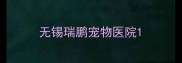 无锡瑞鹏宠物医院