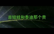 吉娃娃和泰迪那个贵