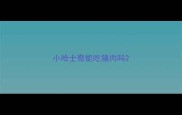 小哈士奇能吃猪肉吗