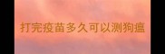 打完疫苗多久可以测狗瘟