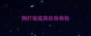 狗打完疫苗后背有包