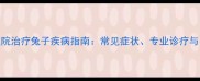 深圳宠物医院治疗兔子疾病指南常见症状专业诊疗与日常护理全