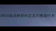 5步停止狗狗吠叫训练法科学纠正犬只噪音行为附真实案例