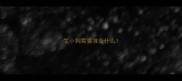 生小狗需要准备什么