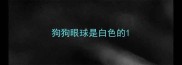 狗狗眼球是白色的