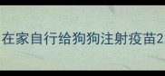 在家自行给狗狗注射疫苗