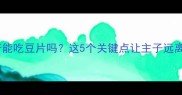 哈士奇能吃豆片吗这5个关键点让主子远离危险