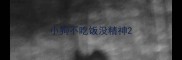 小狗不吃饭没精神