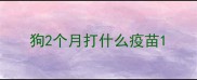 狗2个月打什么疫苗