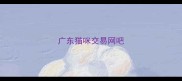 广东猫咪交易网吧