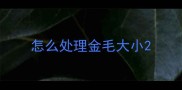 怎么处理金毛大小