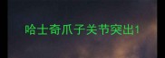 哈士奇爪子关节突出