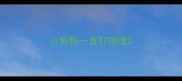 小狗狗一直打喷嚏