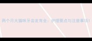 两个月大猫咪牙齿发育全护理要点与注意事项