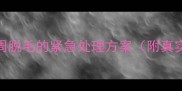 边牧鼻周脱毛的紧急处理方案附真实案例